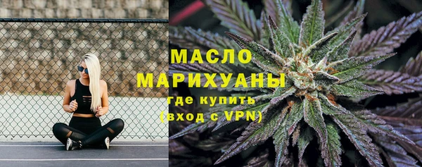 шишки Новодвинск