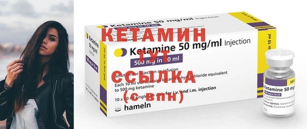 шишки Новодвинск