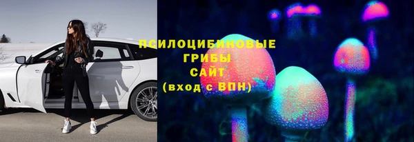 бутират Новозыбков