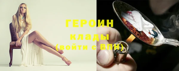 шишки Новодвинск