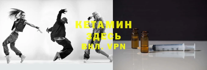 шишки Новодвинск