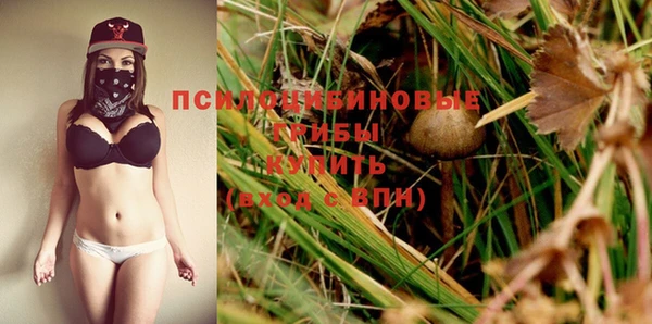 шишки Новодвинск
