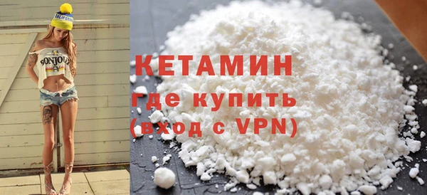 шишки Новодвинск